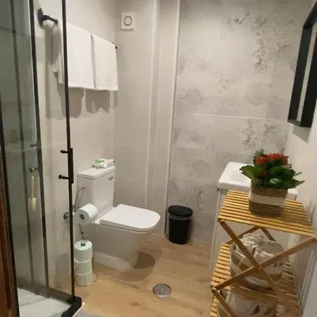 Apartment Flores